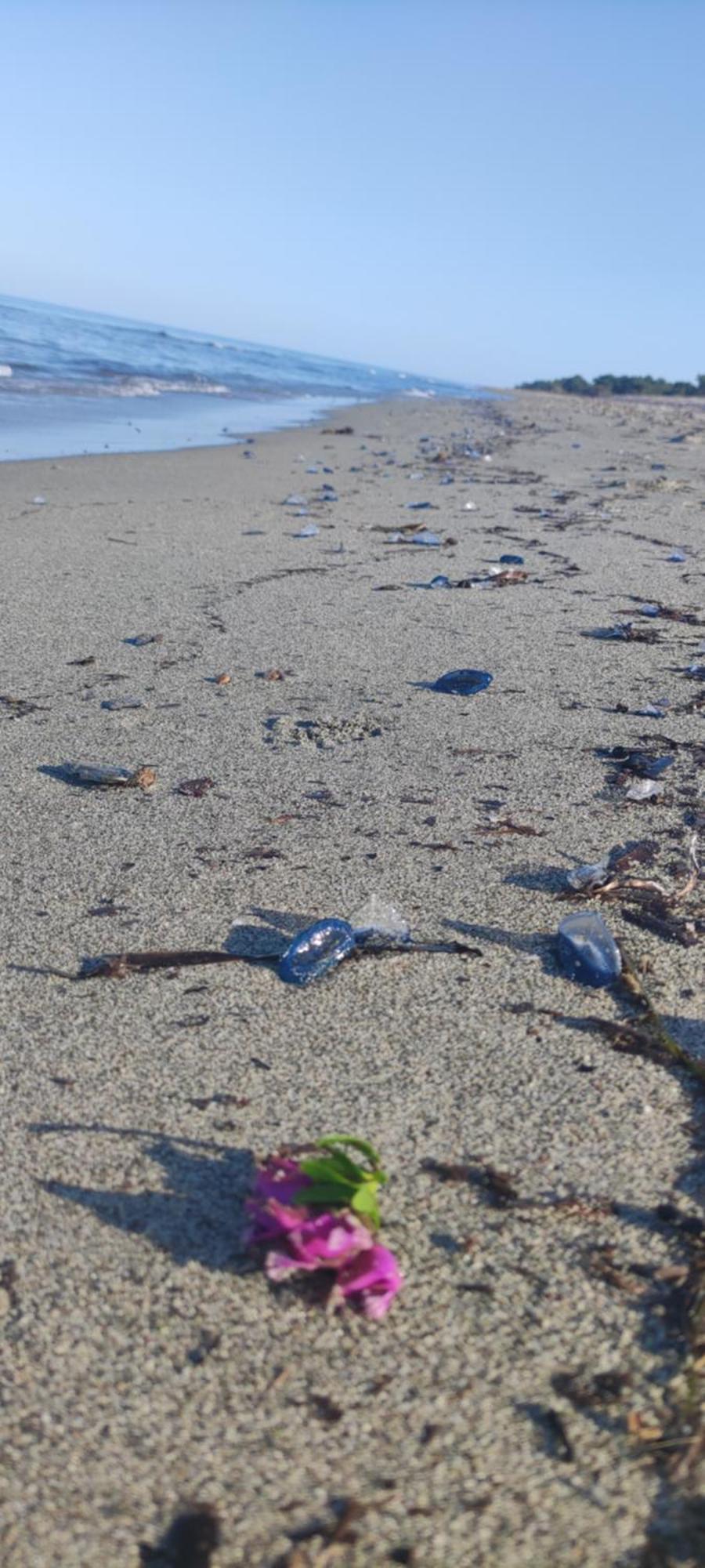 Villa Les Pieds Dans L'Eau Borgo  Exterior foto